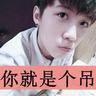 甄嬛传刘钇彤